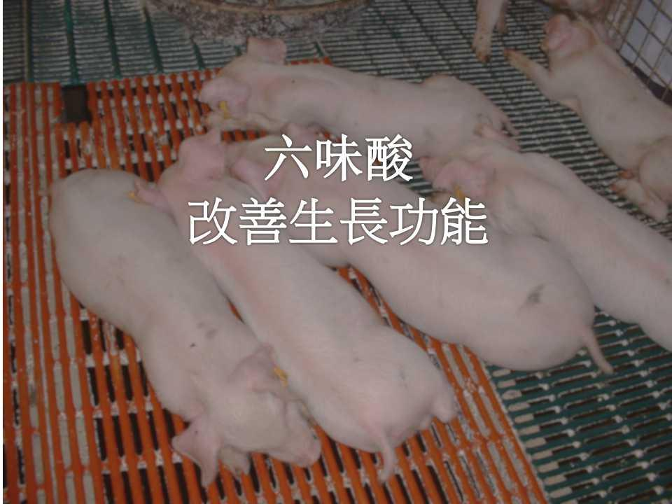 六味酸改善生長功能